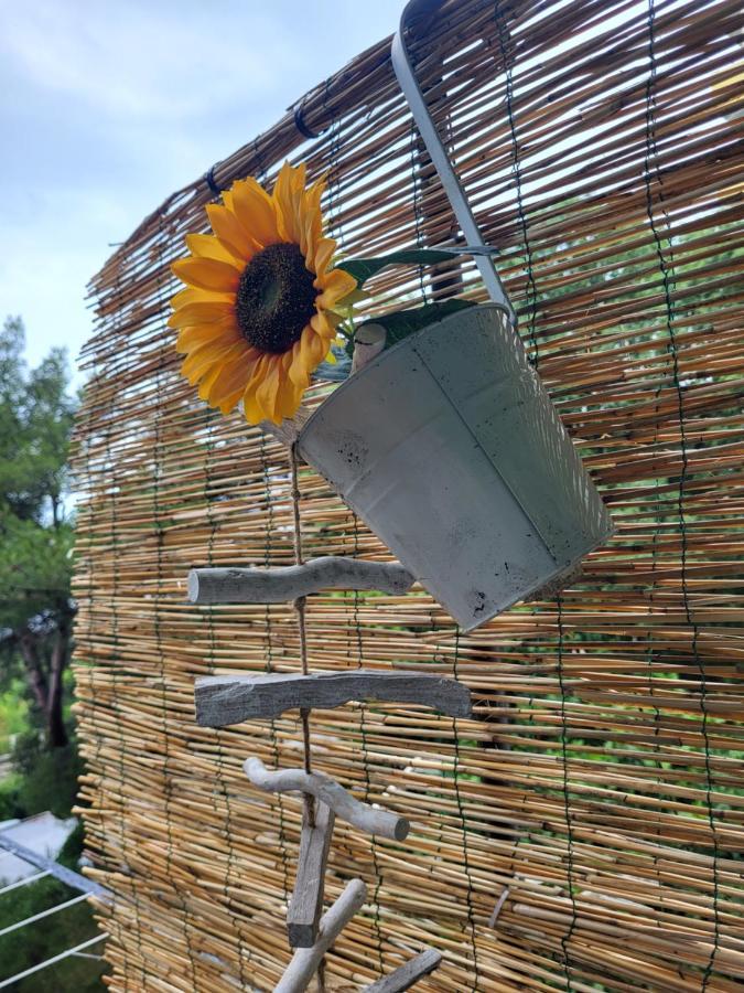 Appartamento Cozy With Balcony 10 Min From The